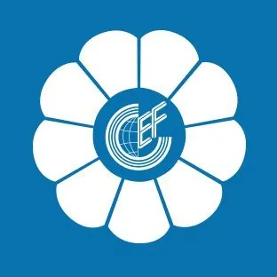 ecf.org.cn's icon