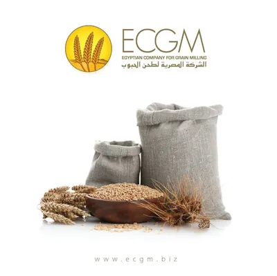 ecgm.biz's icon