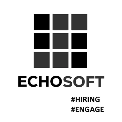echo-soft.com's icon