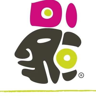 ecomayantours.com's icon