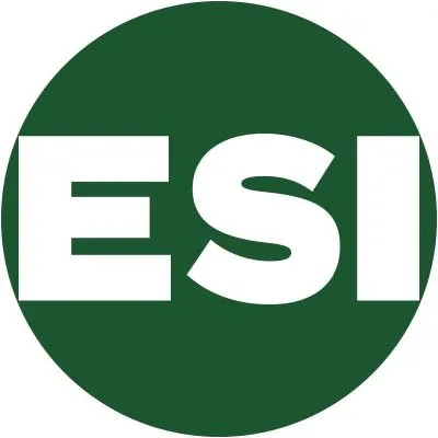 econsultsolutions.com's icon
