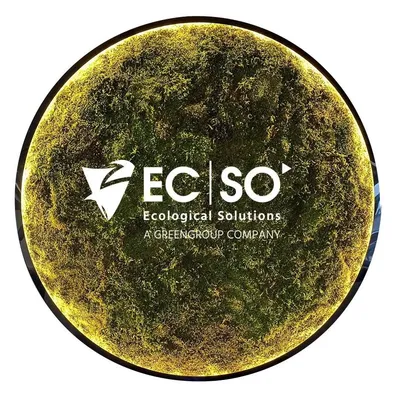 ecso.lt's icon