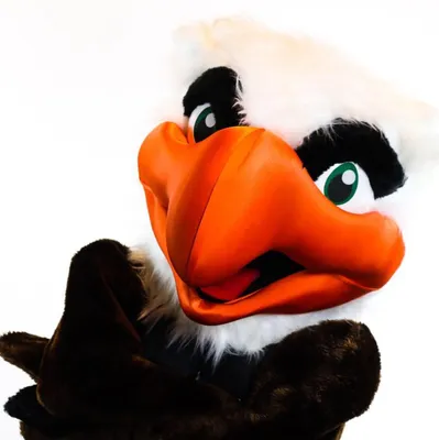 ecteagles.no's icon