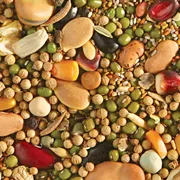 edenseeds.com.au's icon