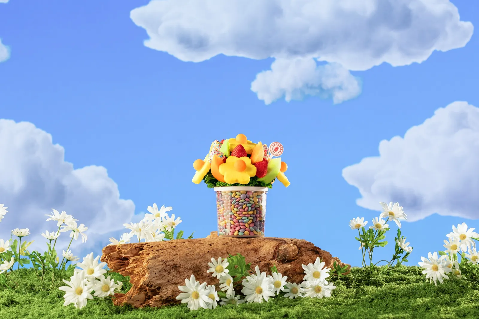 Edible Arrangements banner