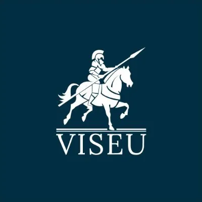 editoraviseu.com's icon