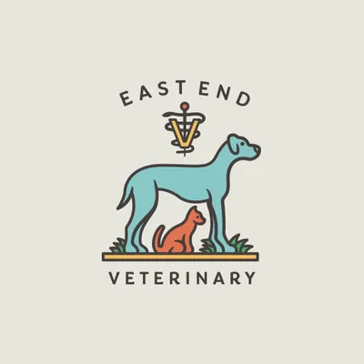 eevmc.com's icon