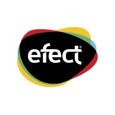 efect.ro's icon