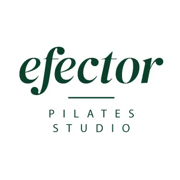 efector.fi's icon