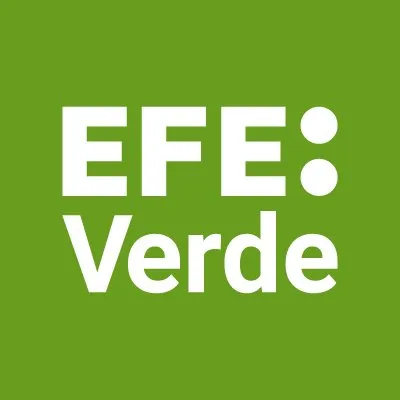 efeverde.com's icon