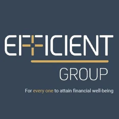 efgroup.co.za's icon