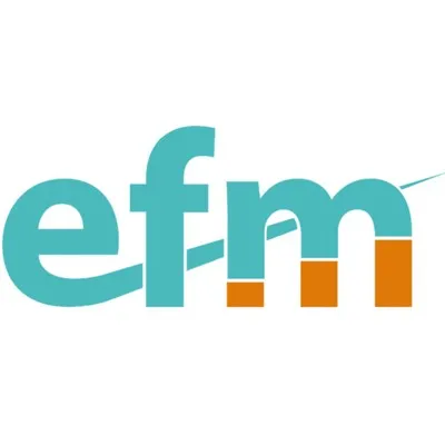 efmireland.ie's icon