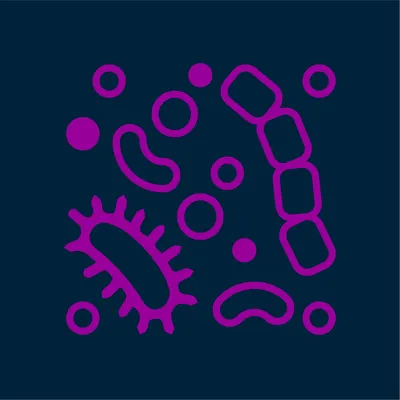 efmsa.org's icon