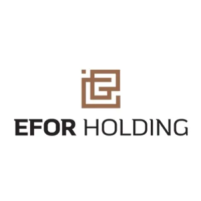 eforholding.com's icon