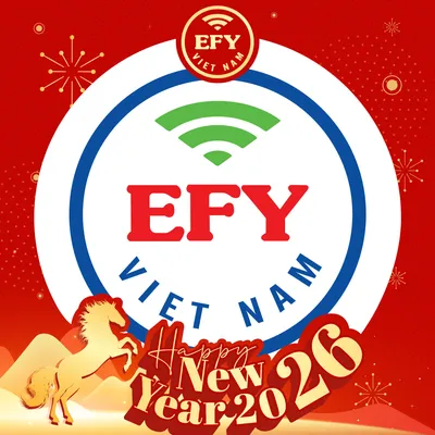 efy.com.vn's icon