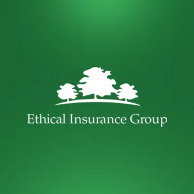 ei-group.ch's icon
