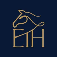 eihuae.com's icon