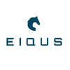 eiqus.com's icon