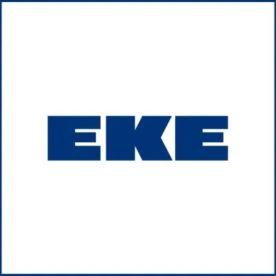eke-electronics.com's icon