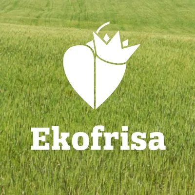 ekofrisa.lt's icon