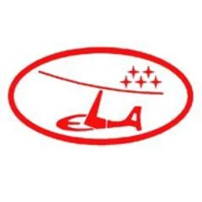 elaaviationusa.com's icon