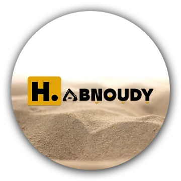 elabnoudymining.com's icon