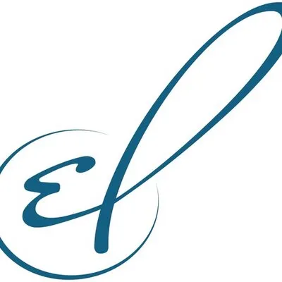 elagency.ru's icon