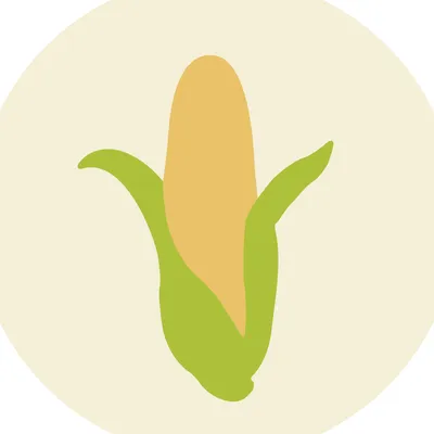 elbolsonsaludable.com's icon