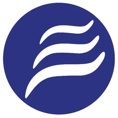 eldroner.com's icon