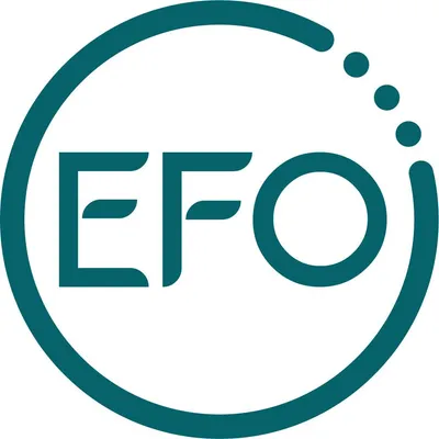 electrolfibraoptica.com's icon