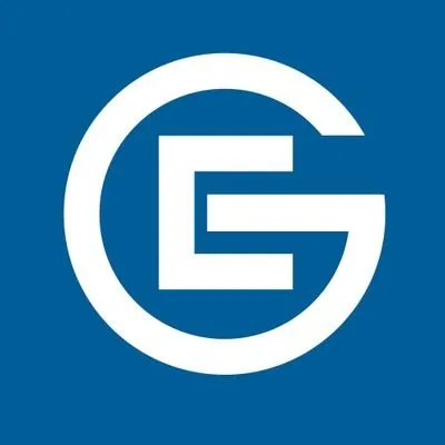 electronics-go.com's icon