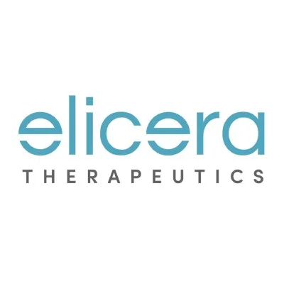 elicera.com's icon