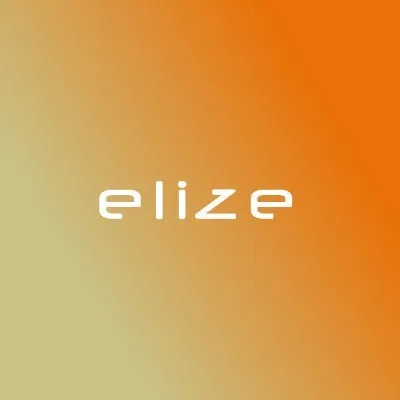elize.com.ec's icon