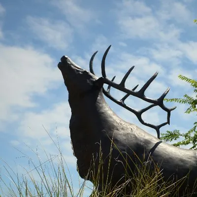 elkcity.com's icon