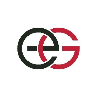 ellerbrake.com's icon