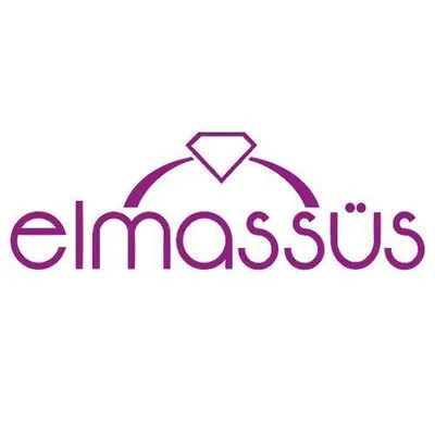elmassus.com.tr's icon