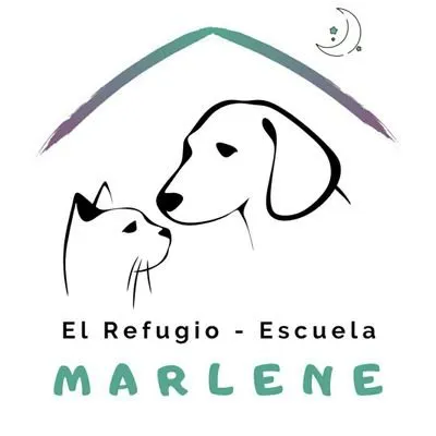 elrefugioescuela.com's icon
