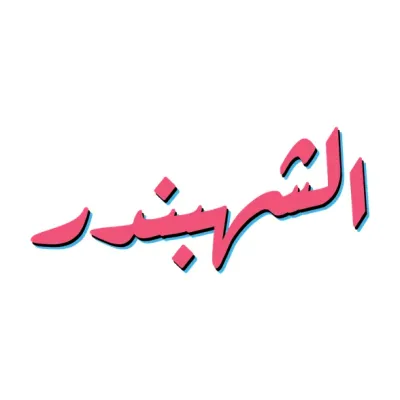 Elshahbndr's icon