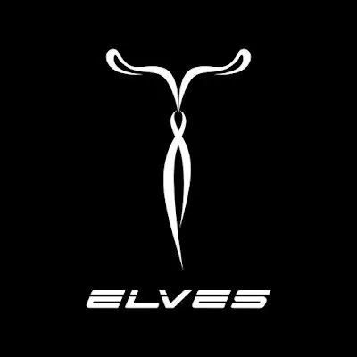 elvesbike.com's icon