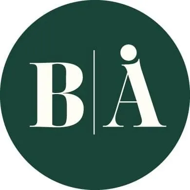 emeraldvipservices.com's icon