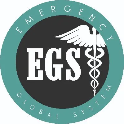 emergencyglobalsystem.com's icon