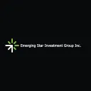 Emerging Star Investment Group logo