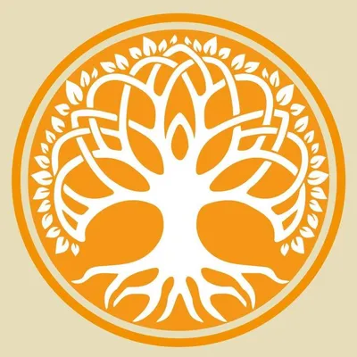 emotionsdmc.com's icon