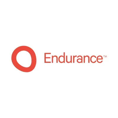 Endurance's icon