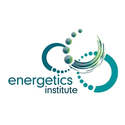energeticsinstitute.com.au's icon