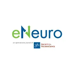 eNeuro's icon
