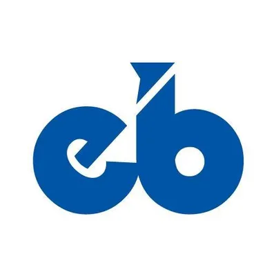 engineerbabu.com's icon