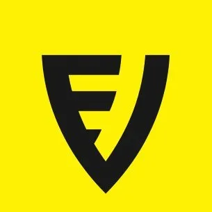 englishvanguard.com's icon
