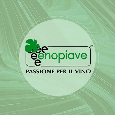enopiave.com's icon