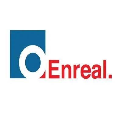 enreal.co.ke's icon